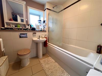 Picture 8